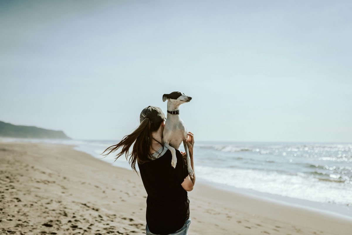 Comment porter un chien : techniques sûres selon sa taille - Muzo
