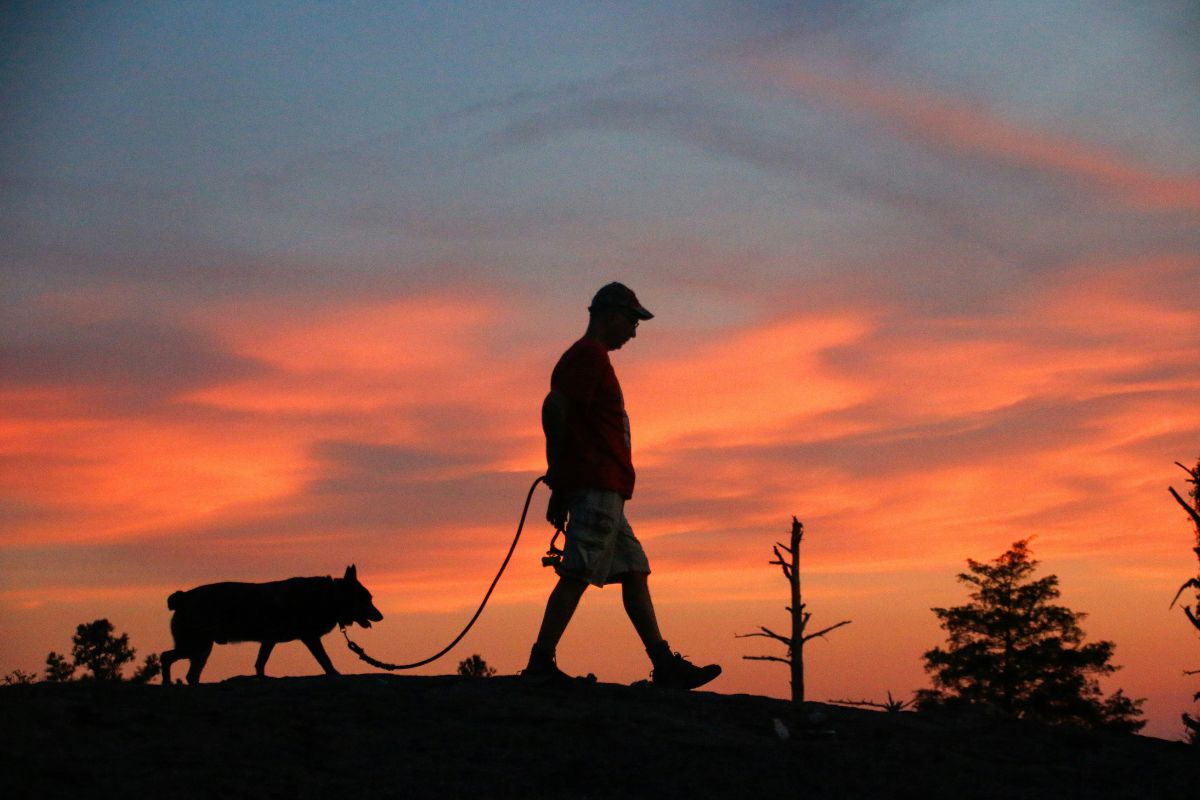 a quelle heure sortir son chien le soir ?