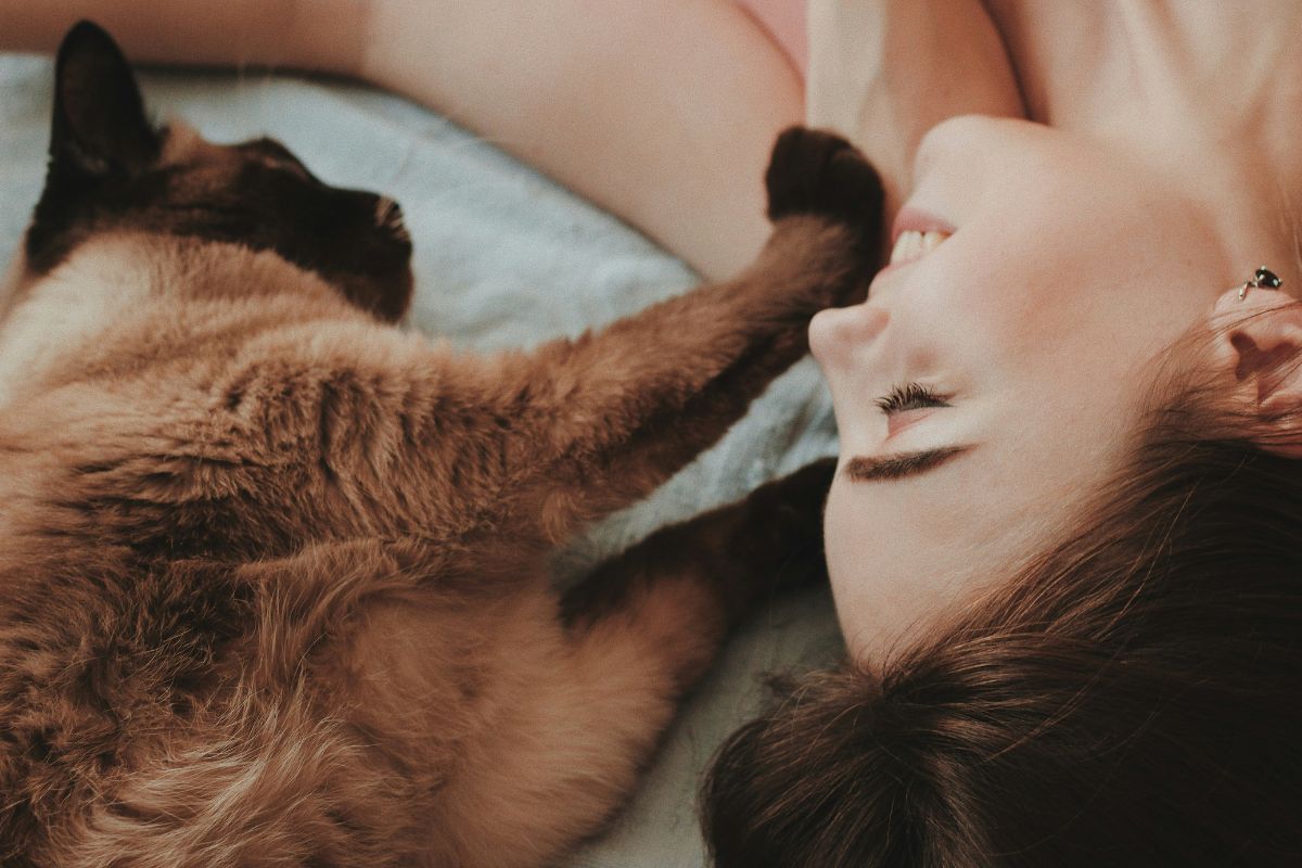 Pourquoi mon chat est plus câlin que d'habitude : comprendre son comportement - Muzo