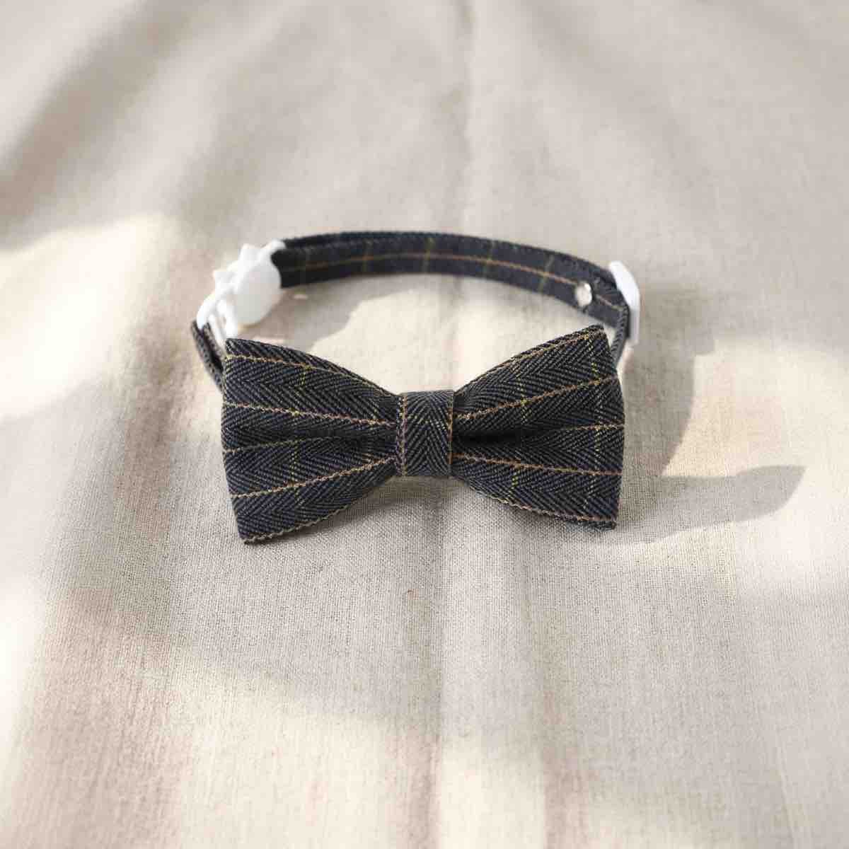 Collier nœud papillon pour chat