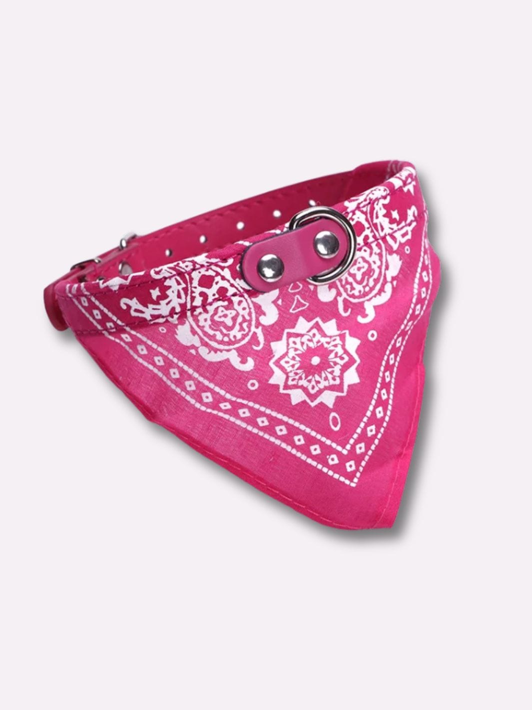 Bandana pour Chat - Muzo