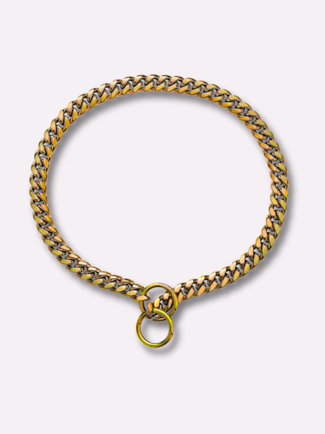 Chaine pour Chien - Muzo