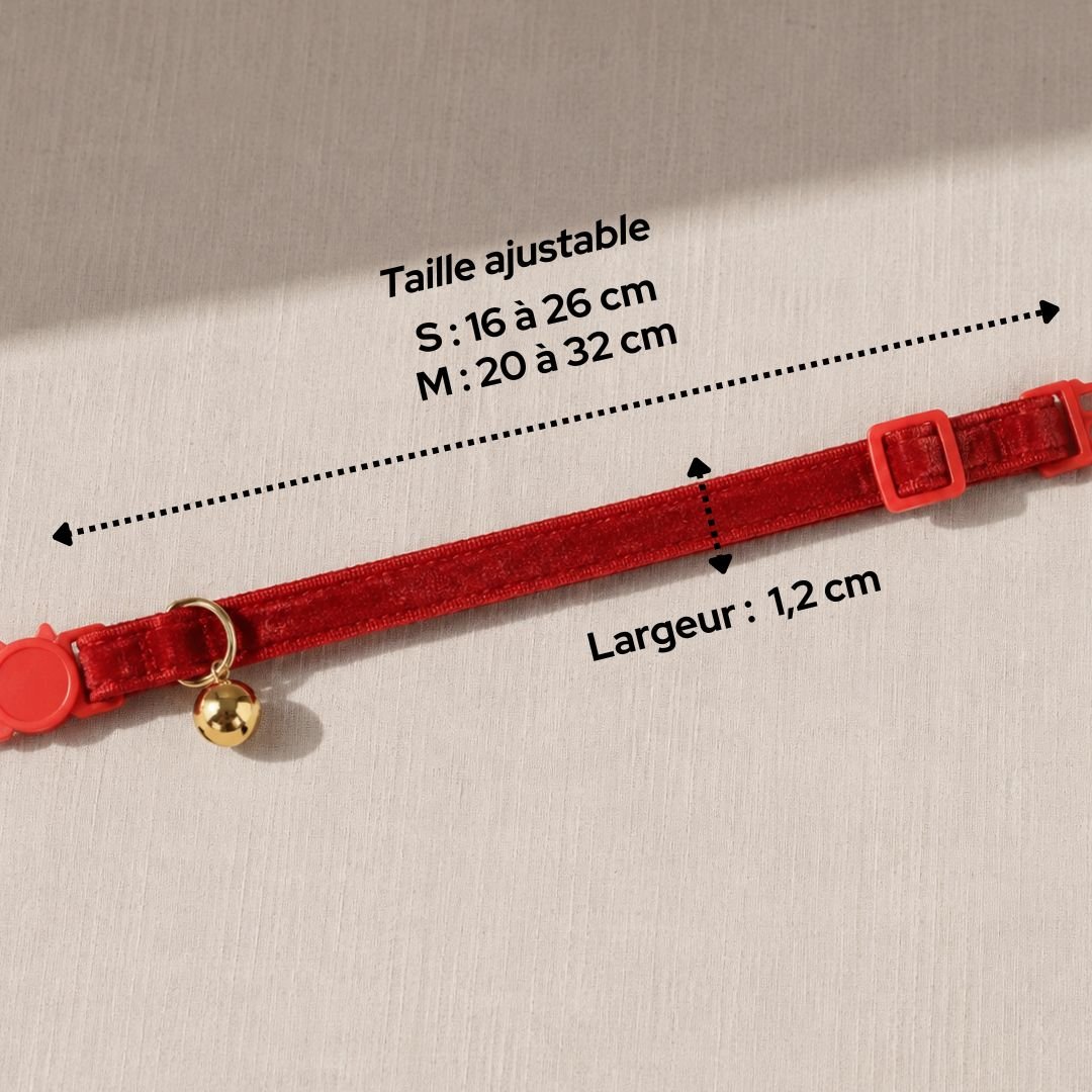 Collier anti-étranglement pour chat - Muzo