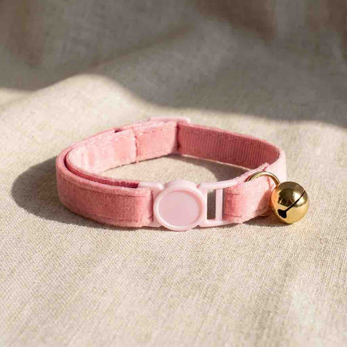 Collier anti - étranglement pour chat - Muzo