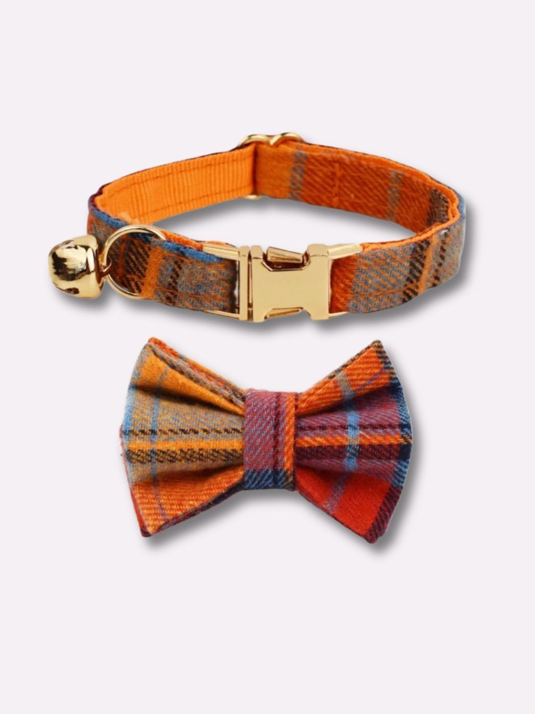 Collier avec Noeud Papillon Amovible - Muzo