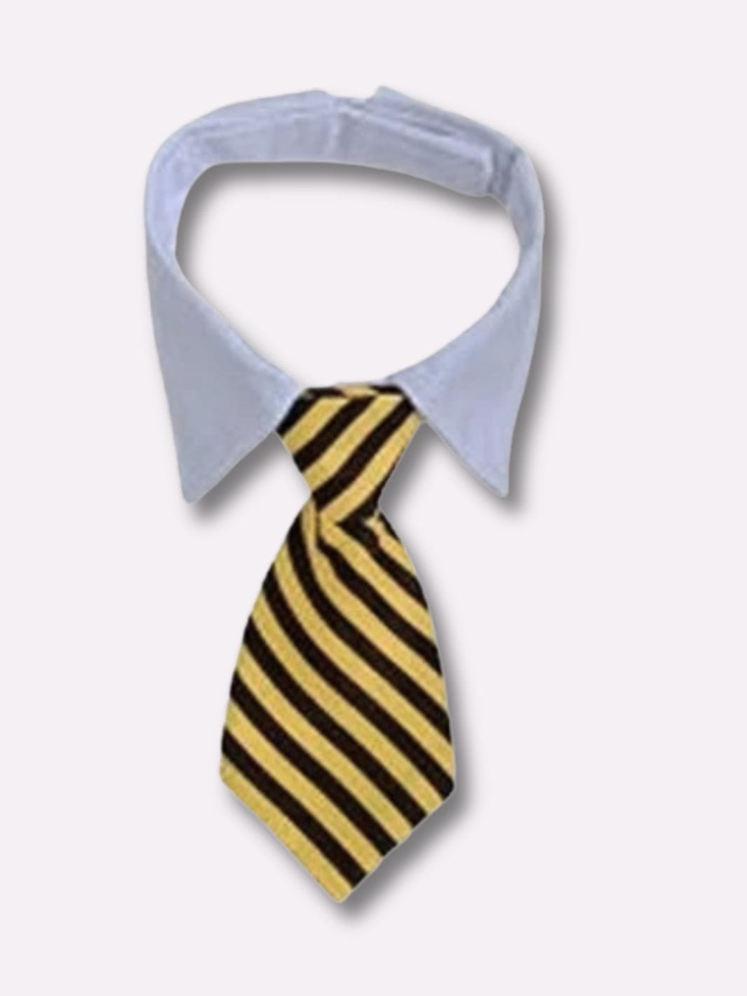 Collier Cravate pour Chat - Muzo