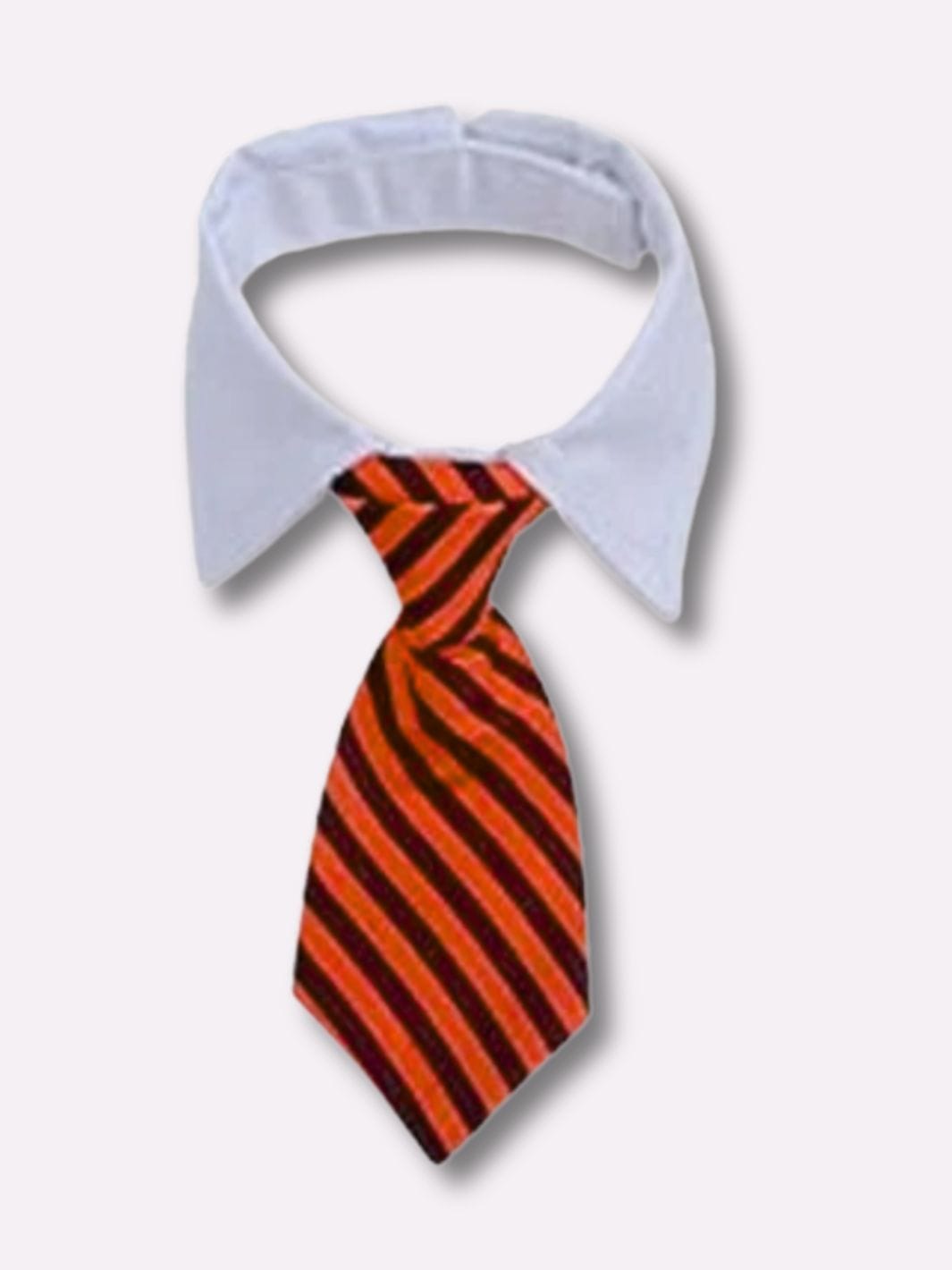 Collier Cravate pour Chat - Muzo