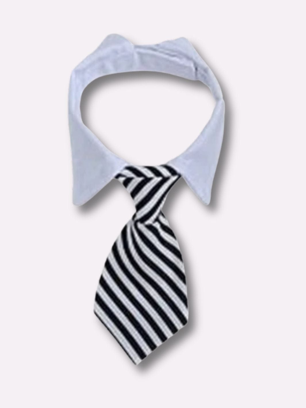 Collier Cravate pour Chat - Muzo