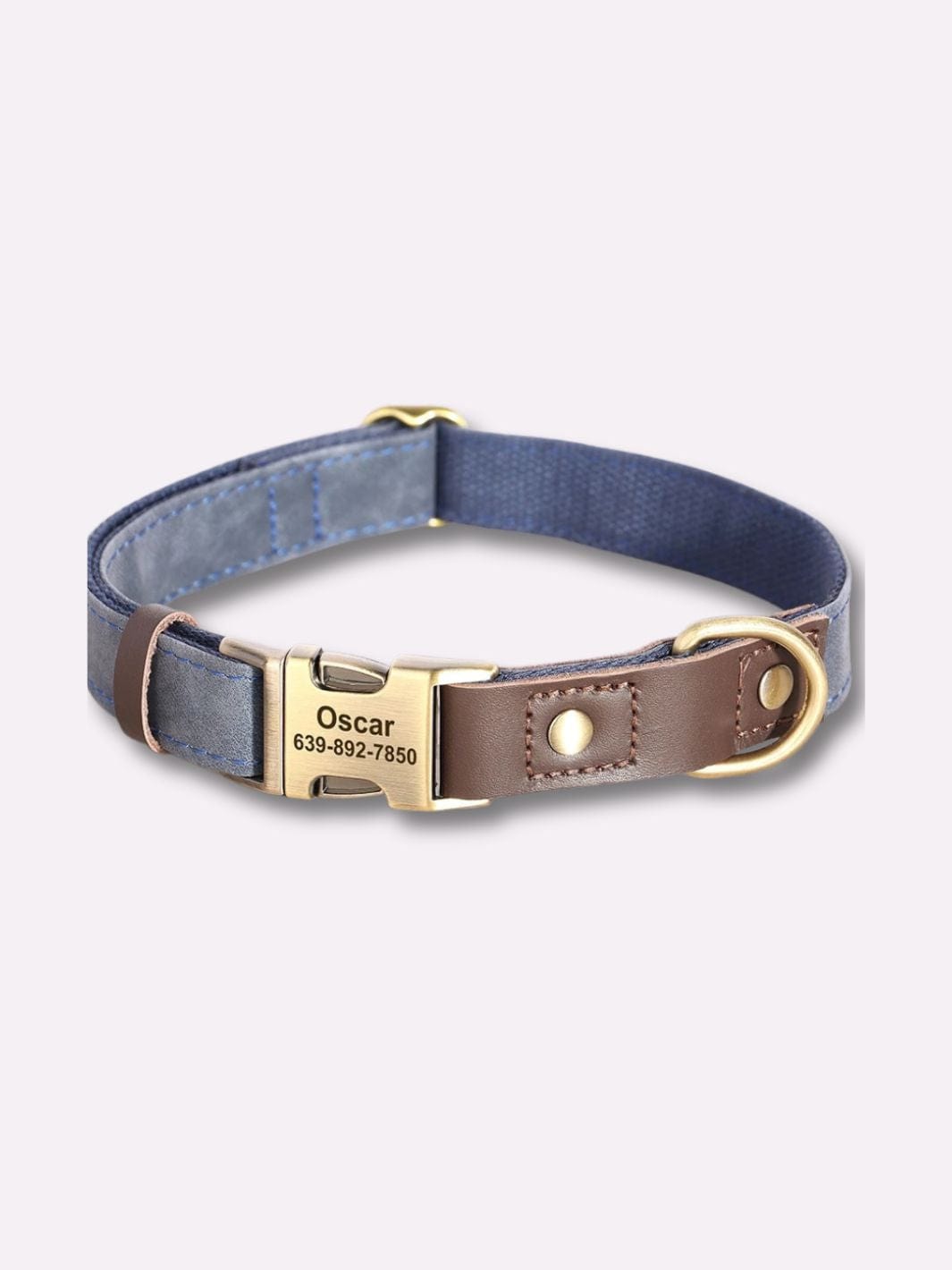 Collier en Cuir pour Chien Personnalisé - Muzo