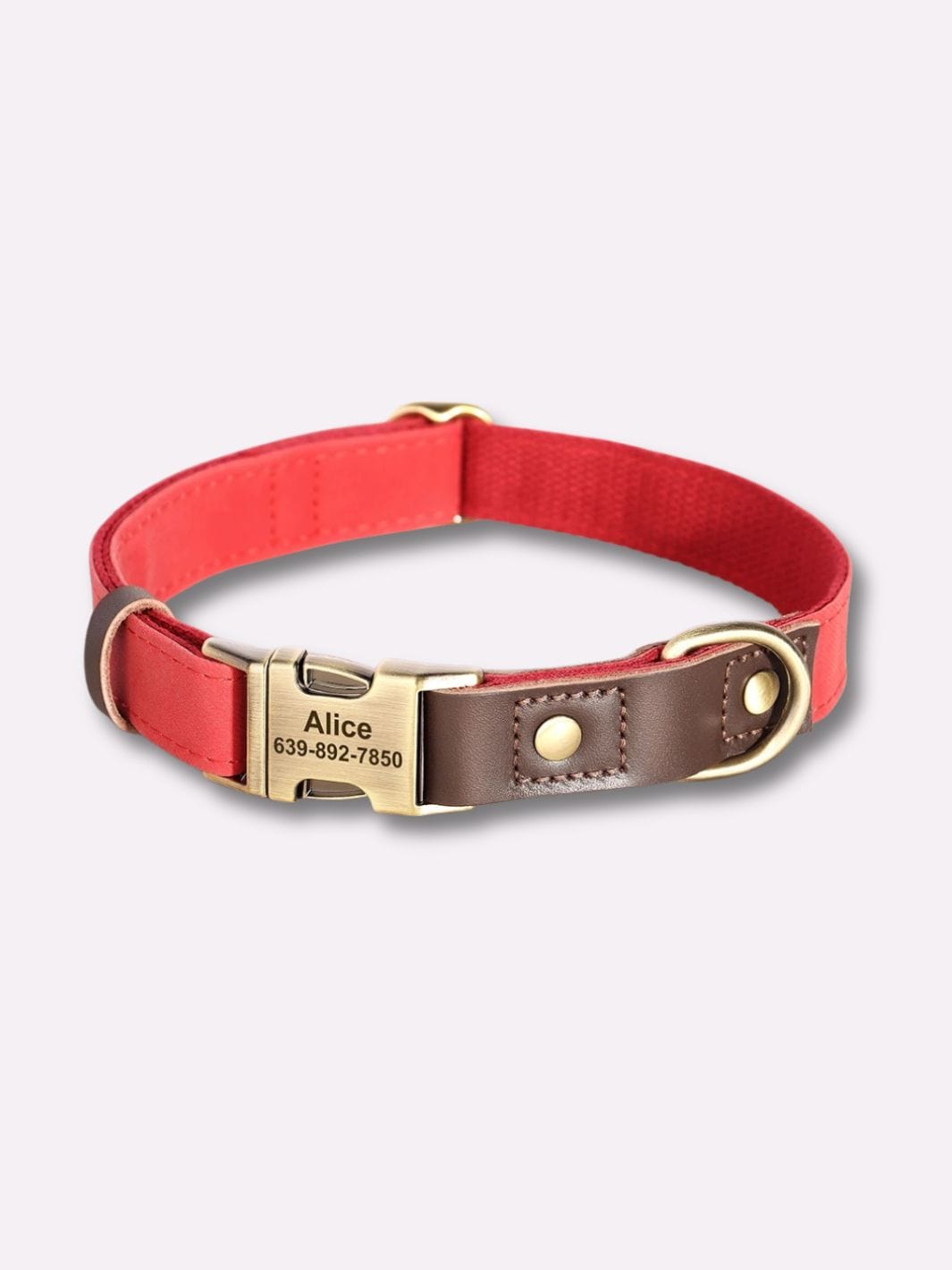 Collier en Cuir pour Chien Personnalisé - Muzo