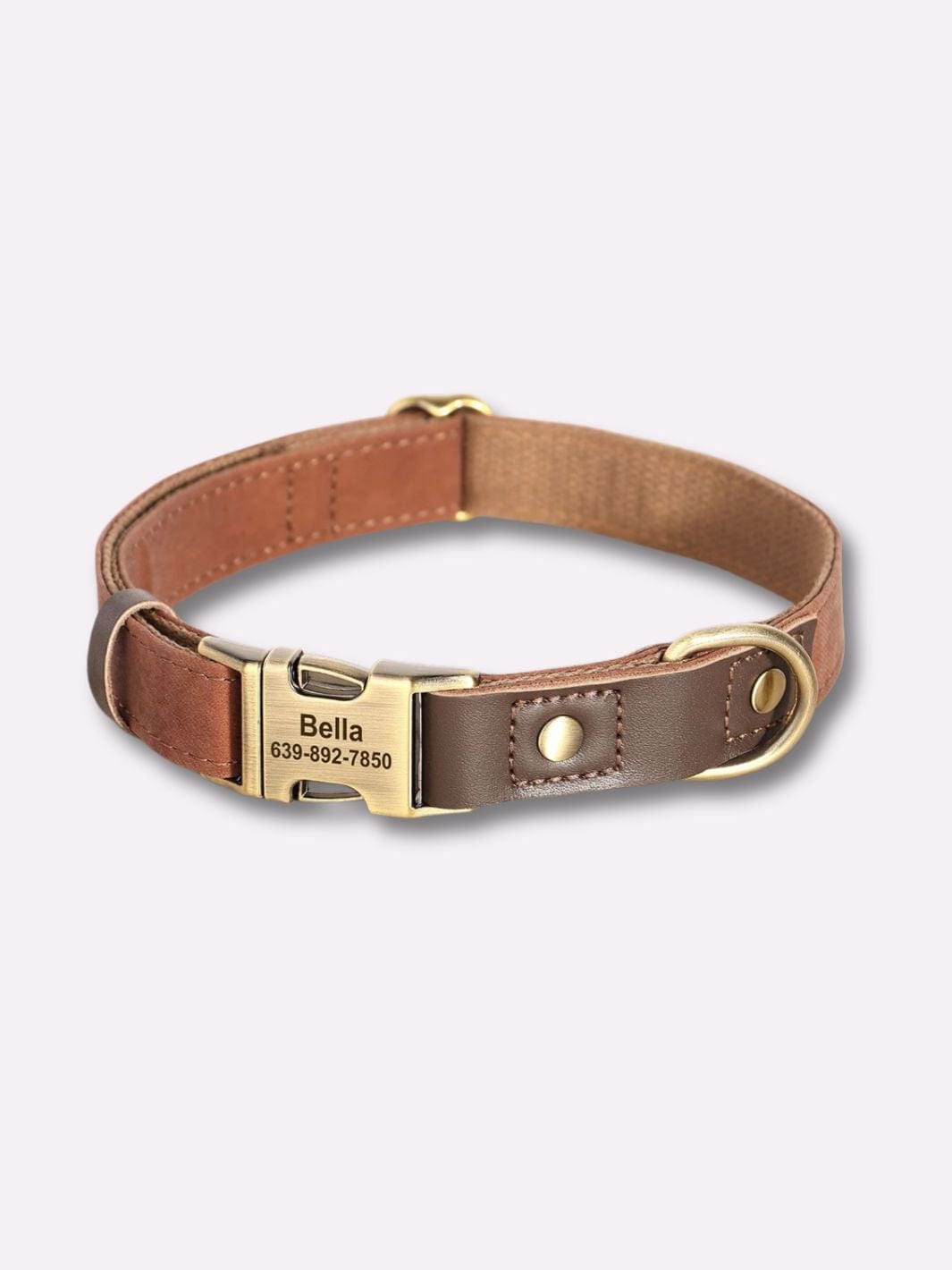 Collier en Cuir pour Chien Personnalisé - Muzo