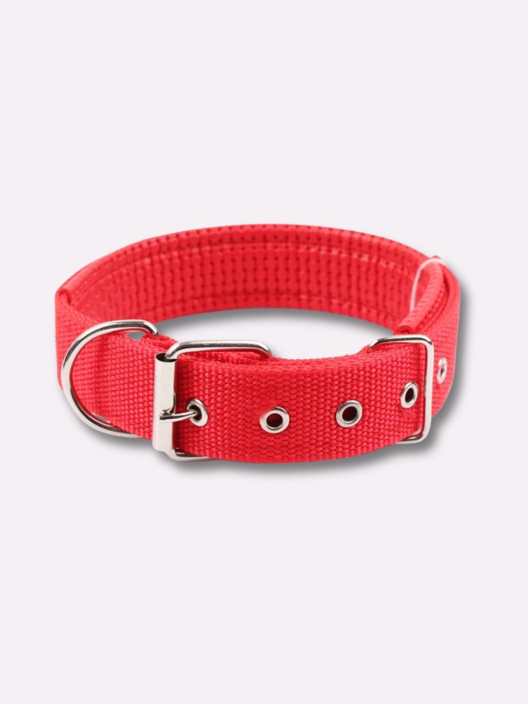 Collier en Nylon pour Chien - Muzo