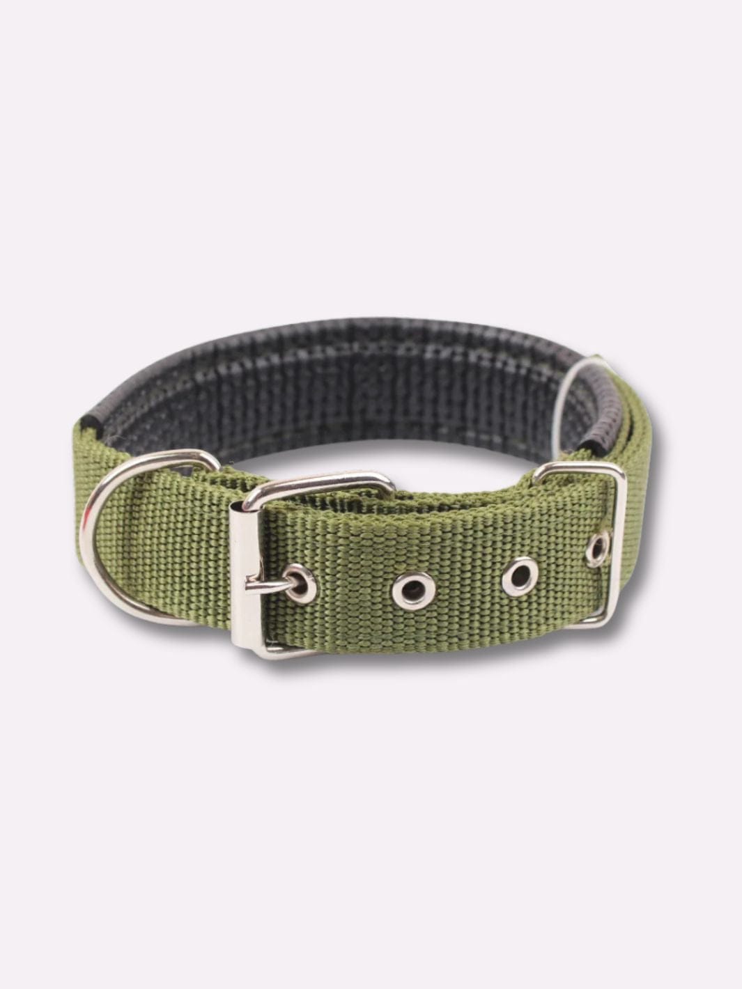 Collier en Nylon pour Chien - Muzo