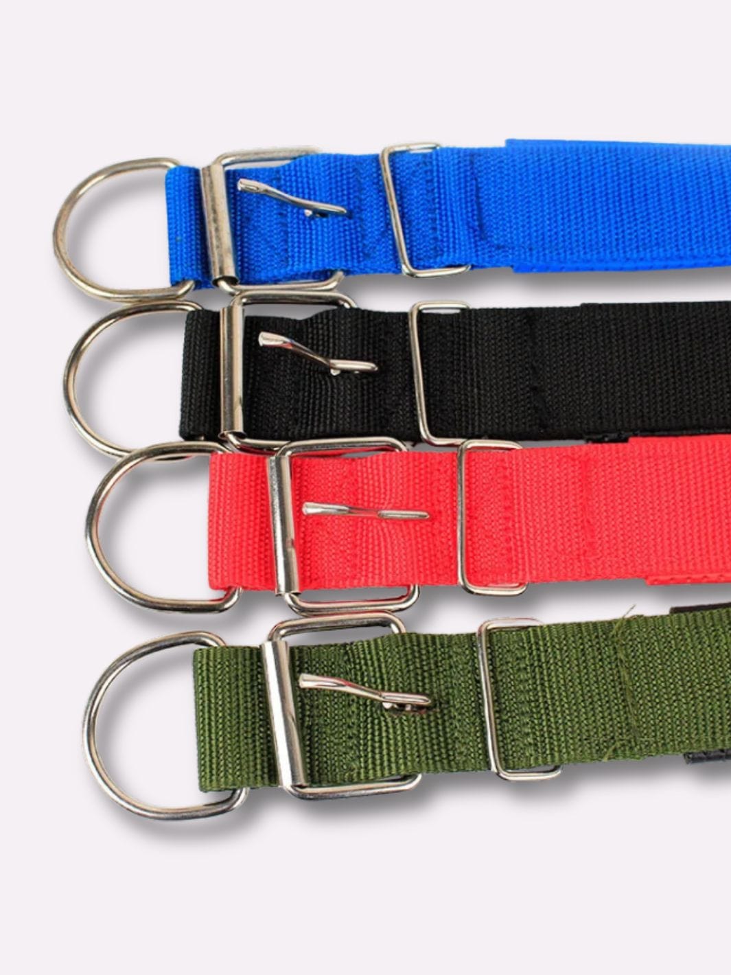 Collier en Nylon pour Chien - Muzo