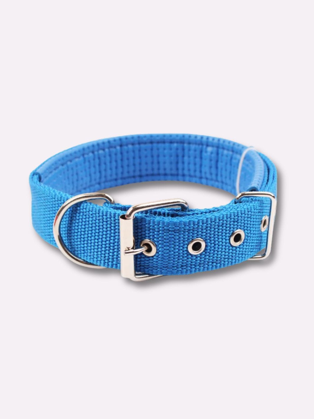 Collier en Nylon pour Chien Bleu / S : tour de cou 40 cm