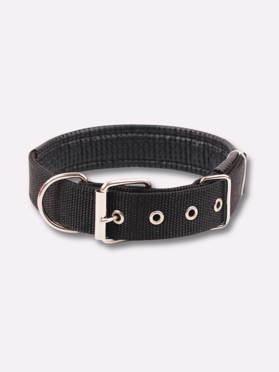 Collier en Nylon pour Chien Noir / S : tour de cou 40 cm