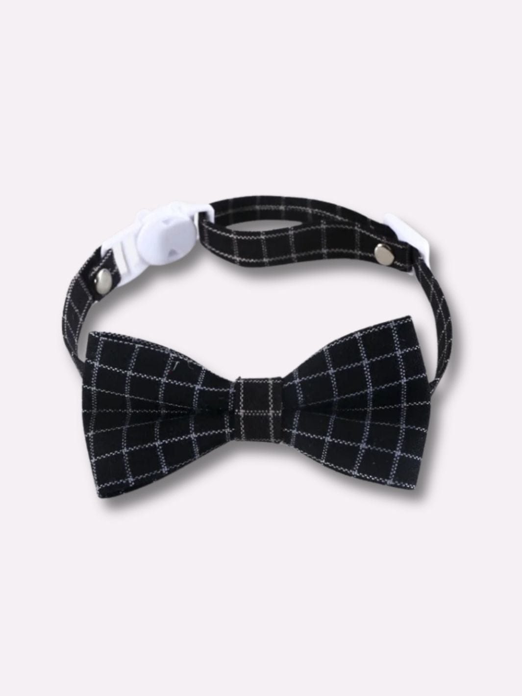 Collier Noeud Papillon pour Chat - Muzo