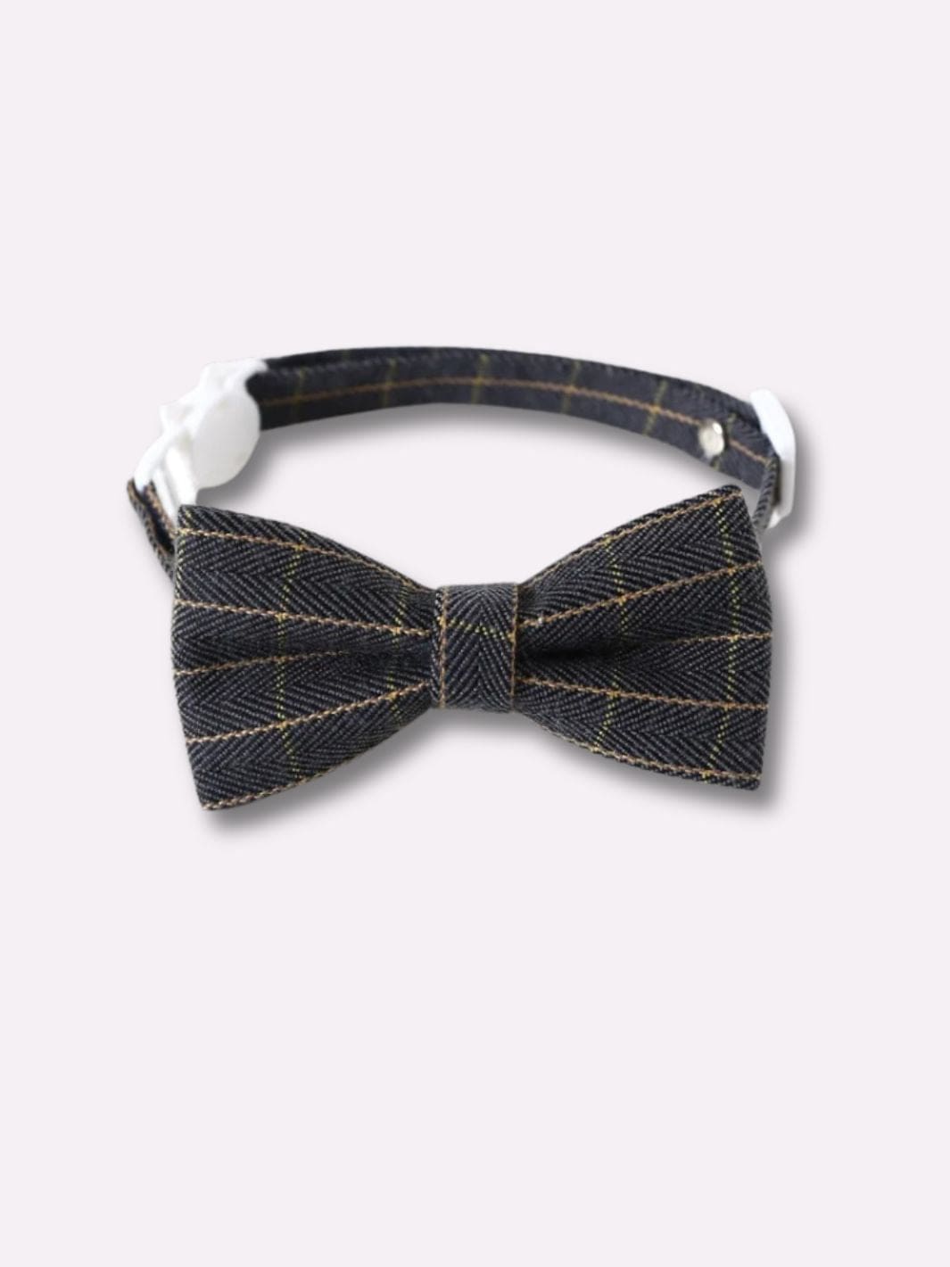 Collier Noeud Papillon pour Chat - Muzo