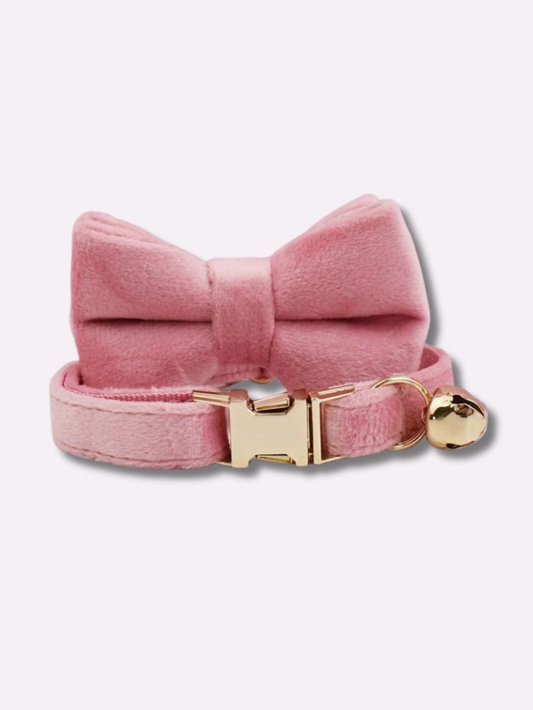Collier Noeud Papillon pour Chat en Velours - Muzo