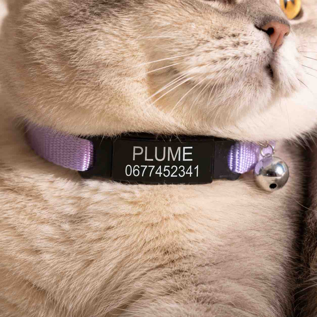 Collier personnalisable anti-étranglement pour chat - Muzo