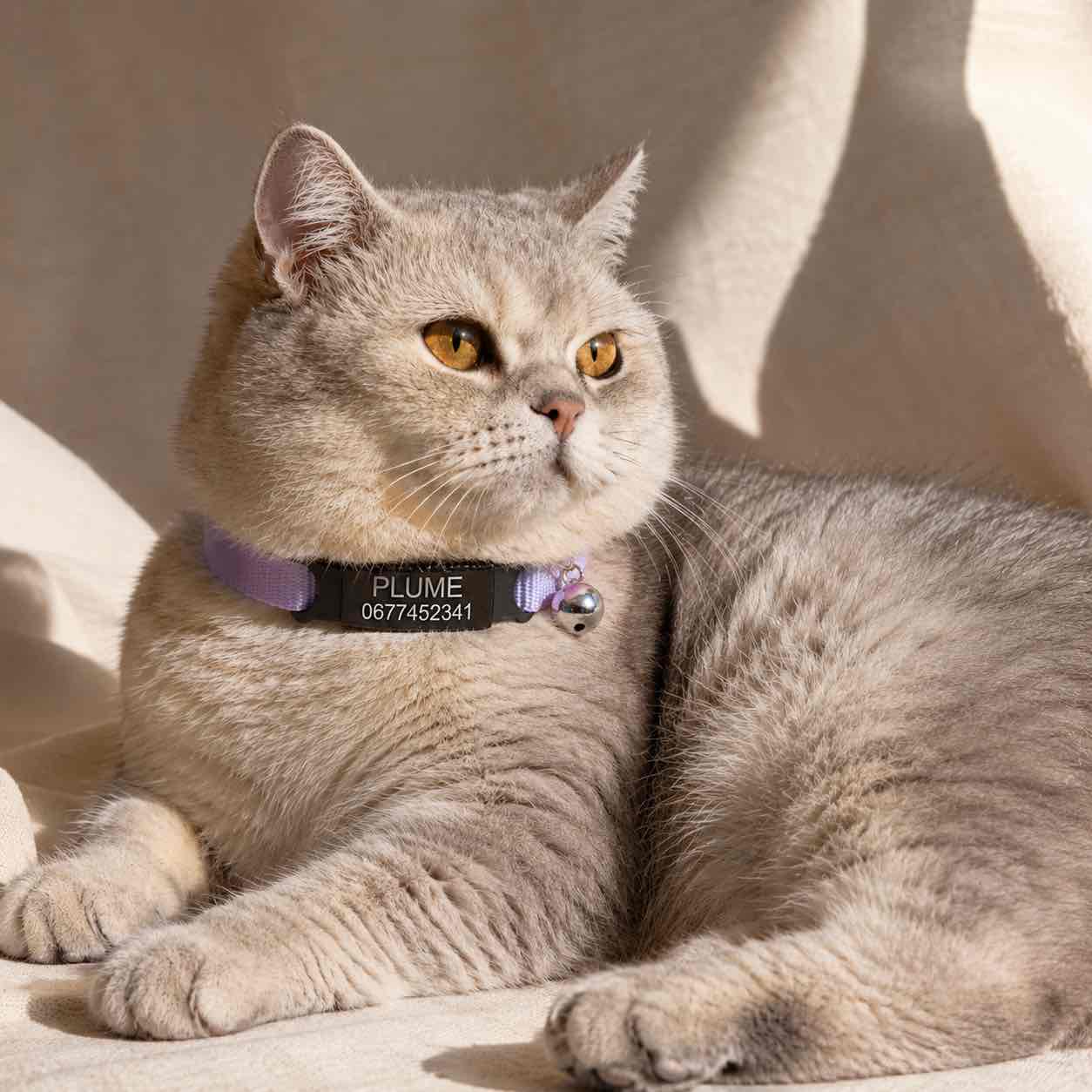 Collier personnalisable anti-étranglement pour chat - Muzo