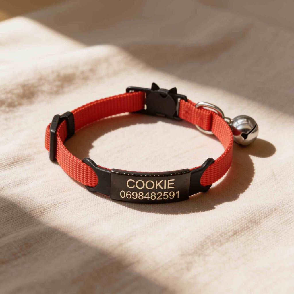 Collier personnalisable anti-étranglement pour chat - Muzo