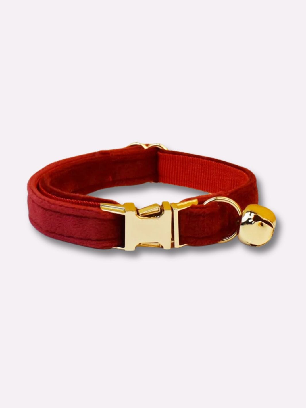 Collier pour Chat avec Clochette - Muzo