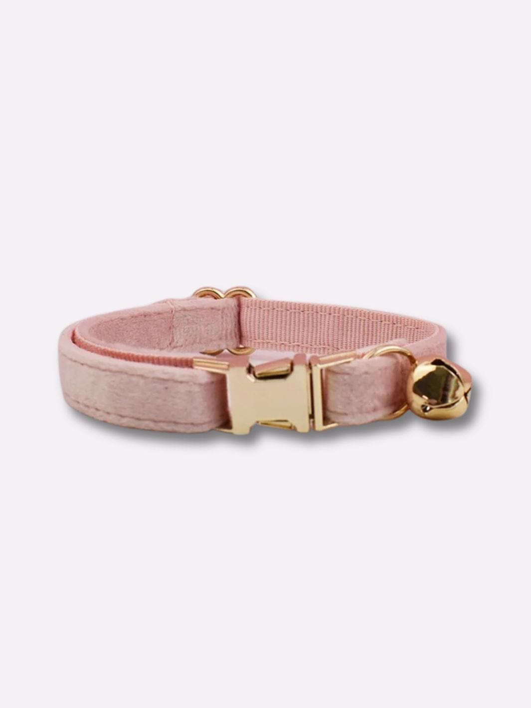 Collier pour Chat avec Prénom - Muzo