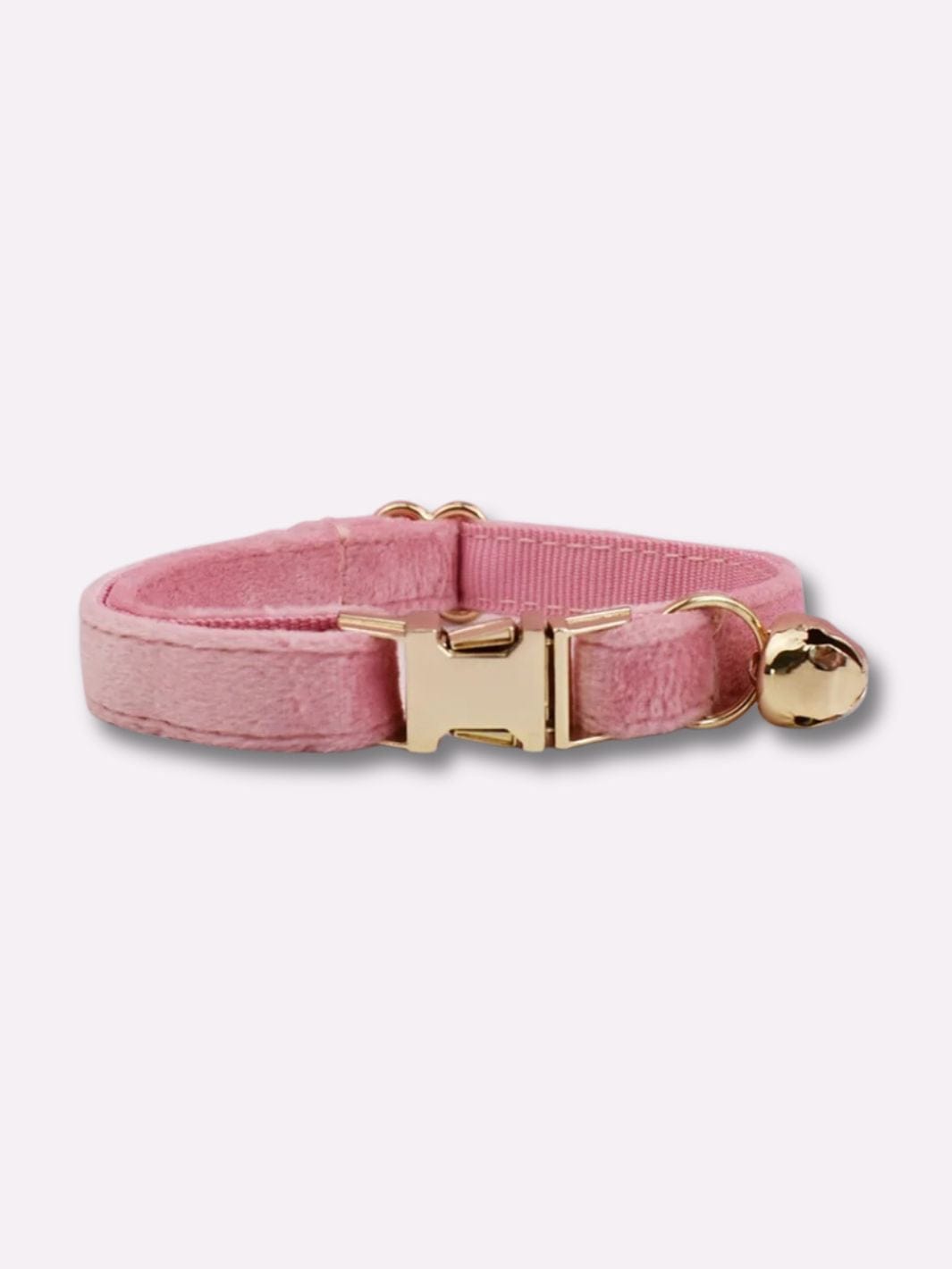 Collier pour Chat avec Prénom - Muzo