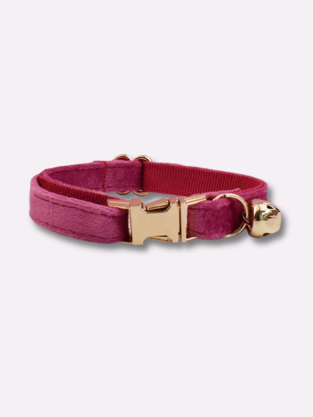Collier pour Chat avec Prénom - Muzo