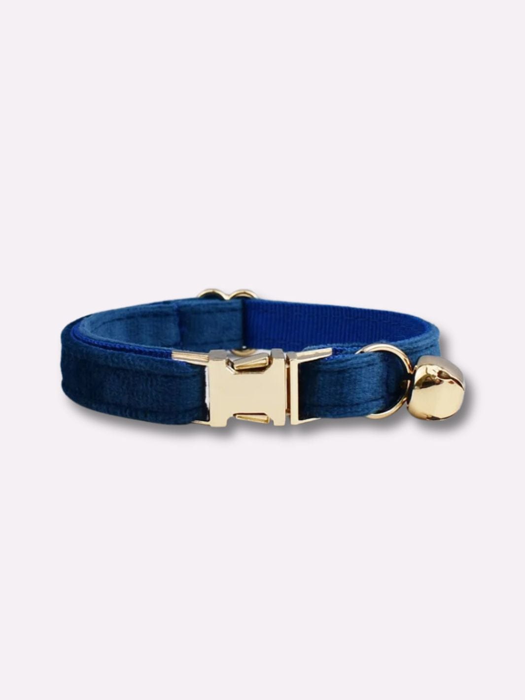 Collier pour Chat Mâle - Muzo