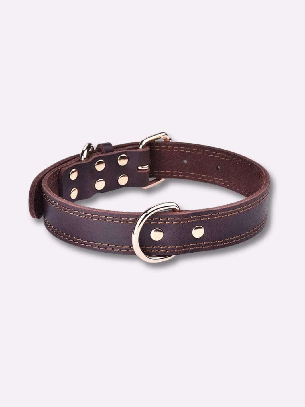 Collier pour Chien en Cuir