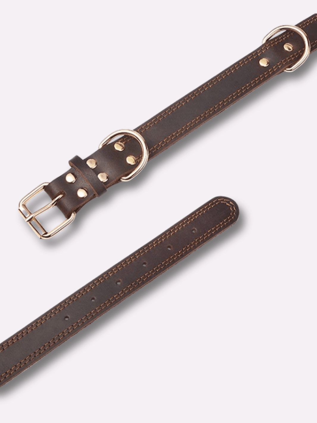 Collier pour Chien en Cuir - Muzo