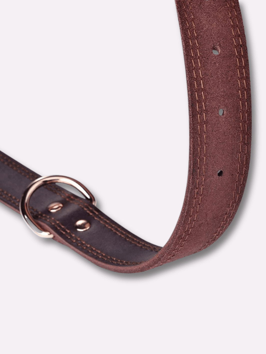 Collier pour Chien en Cuir - Muzo