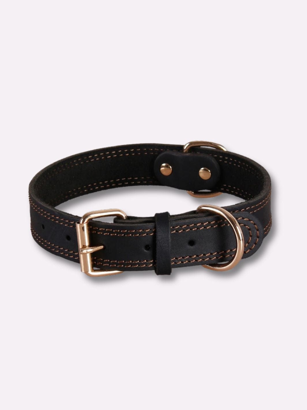 Collier pour Chien en Cuir Noir / S : tour de cou 38-49cm