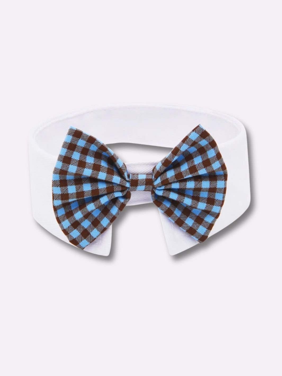 Collier pour Chien Noeud Papillon - Muzo