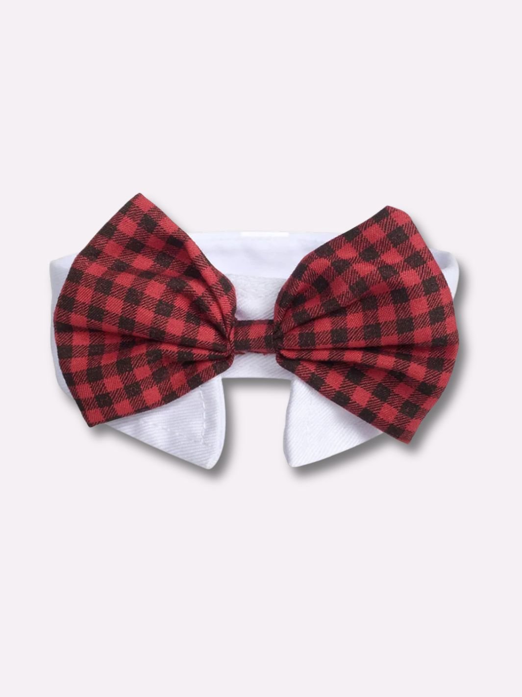 Collier pour Chien Noeud Papillon - Muzo