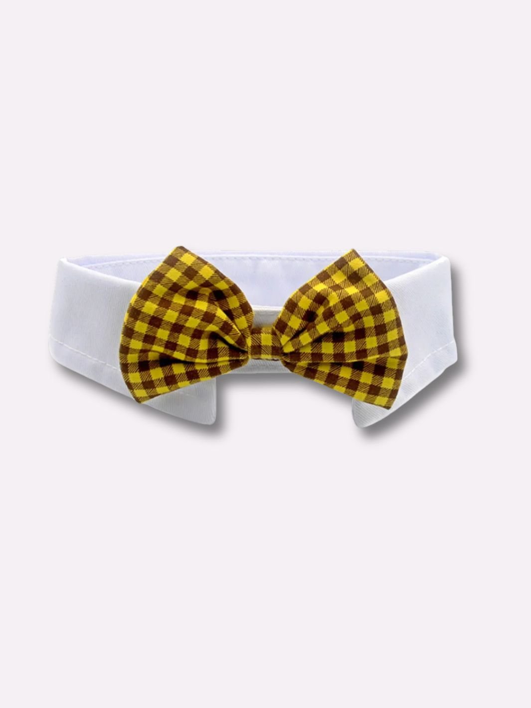 Collier pour Chien Noeud Papillon - Muzo