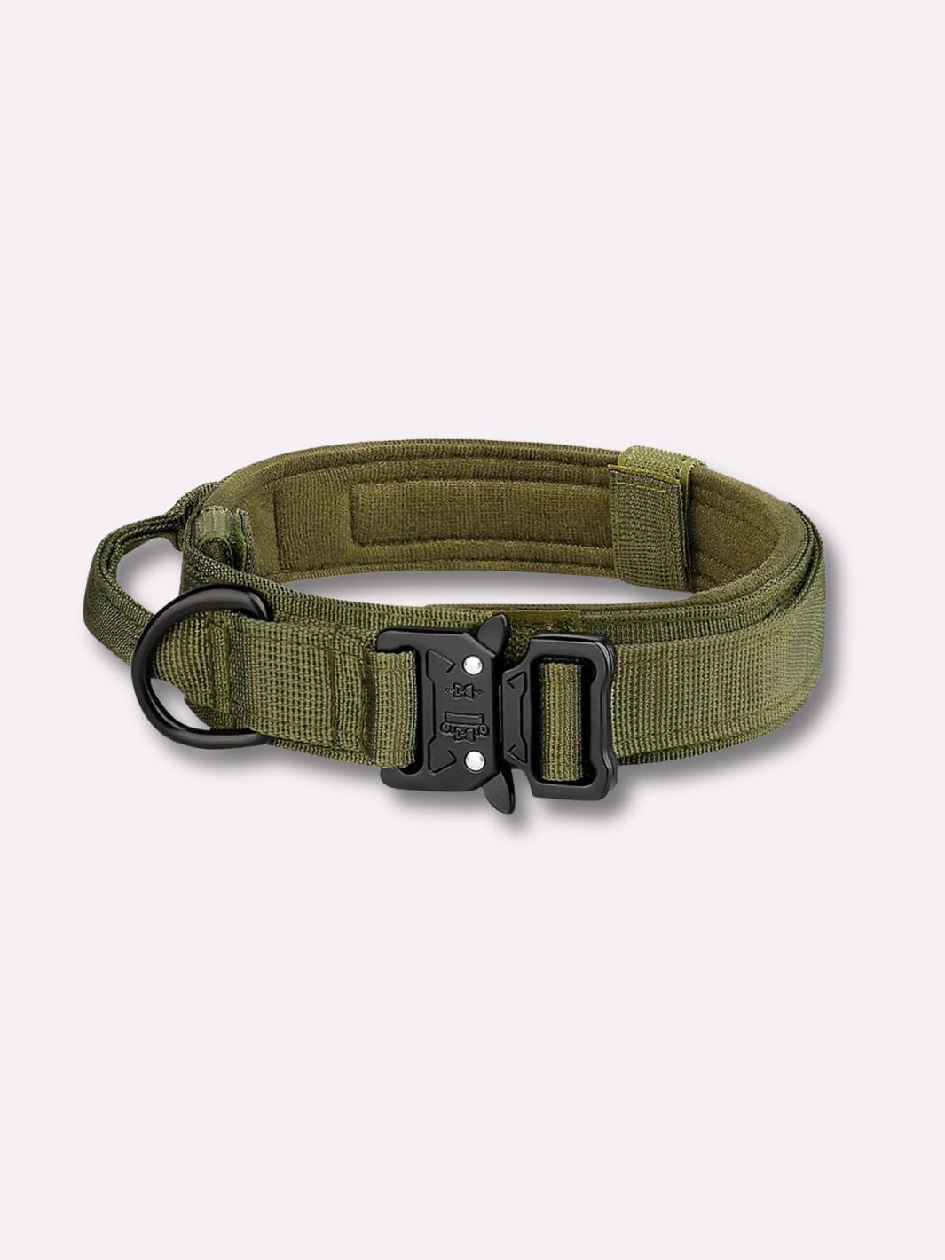 Collier pour Chien Vert / M