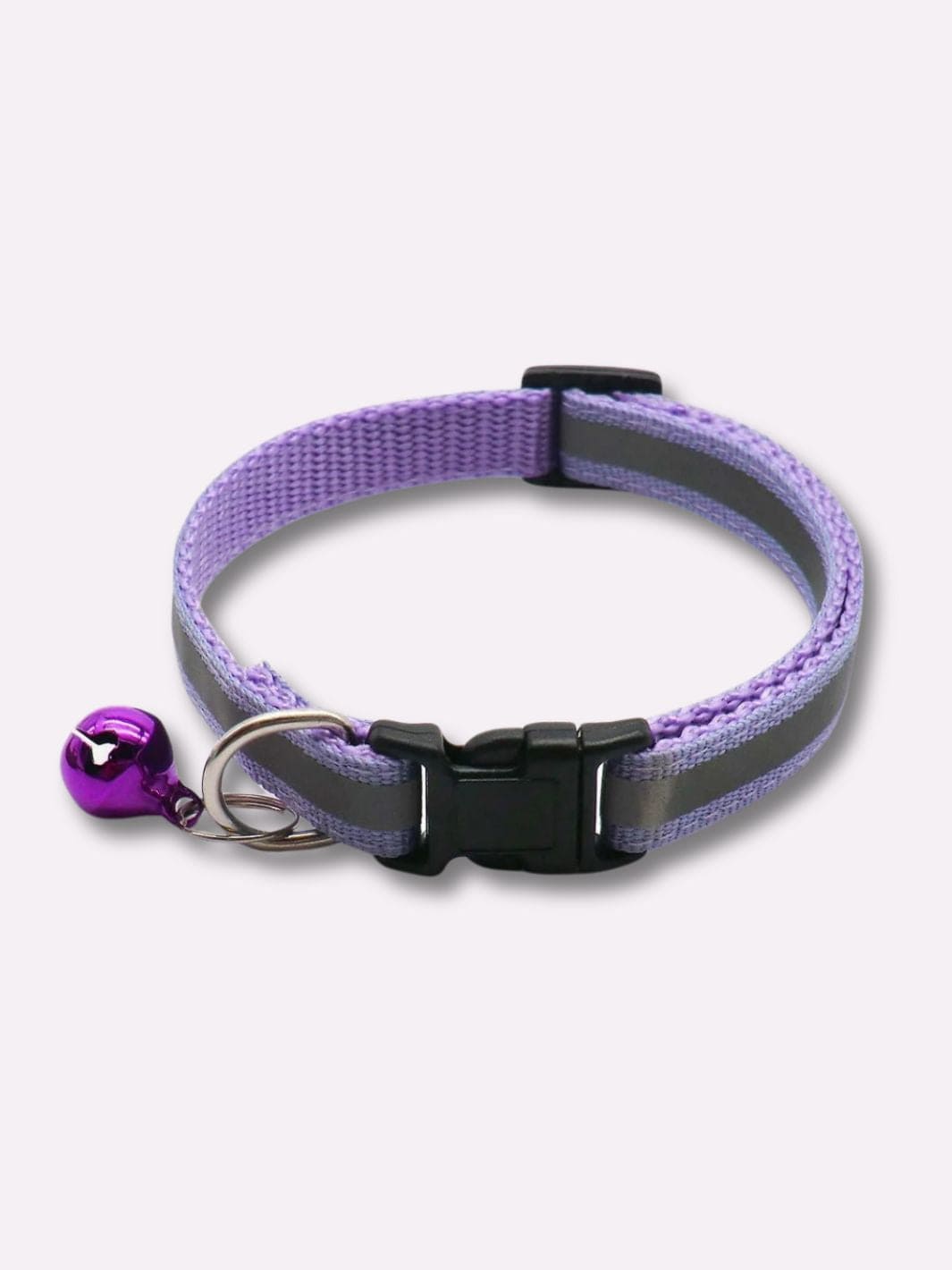 Collier Réfléchissant pour Chat 2X Violet