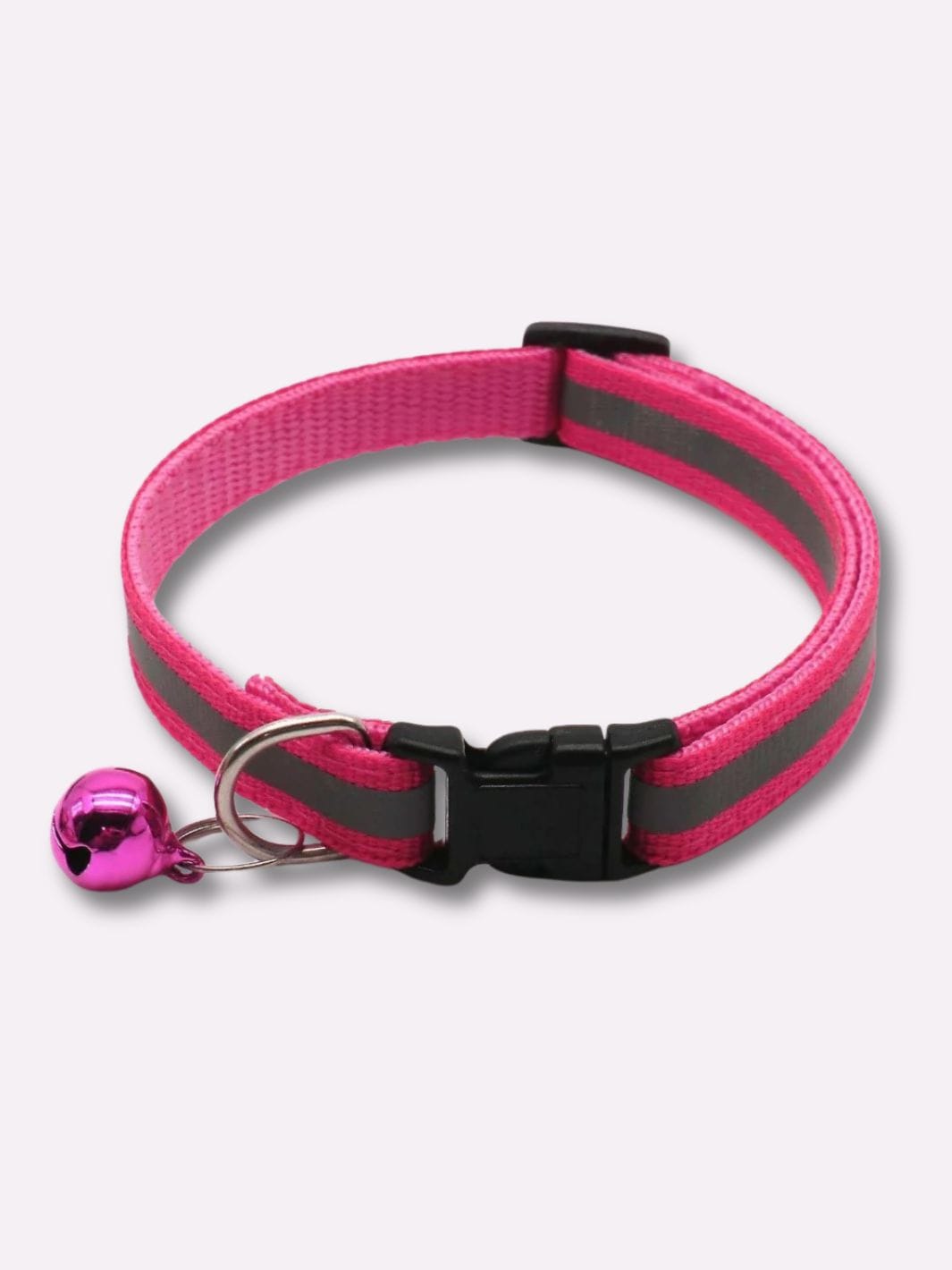 Collier Réfléchissant pour Chat - Muzo