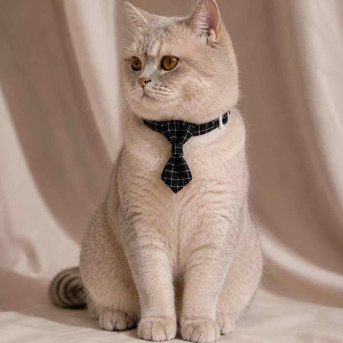 Cravate pour chat anti-étranglement - Muzo