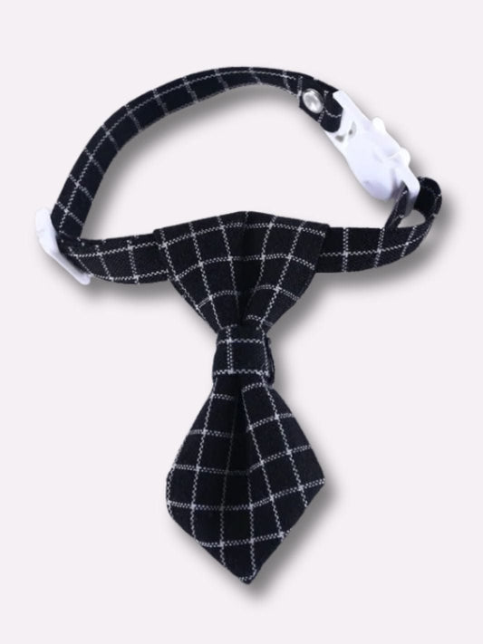 Cravate pour Chat Noir / Tour de cou : 17-32cm