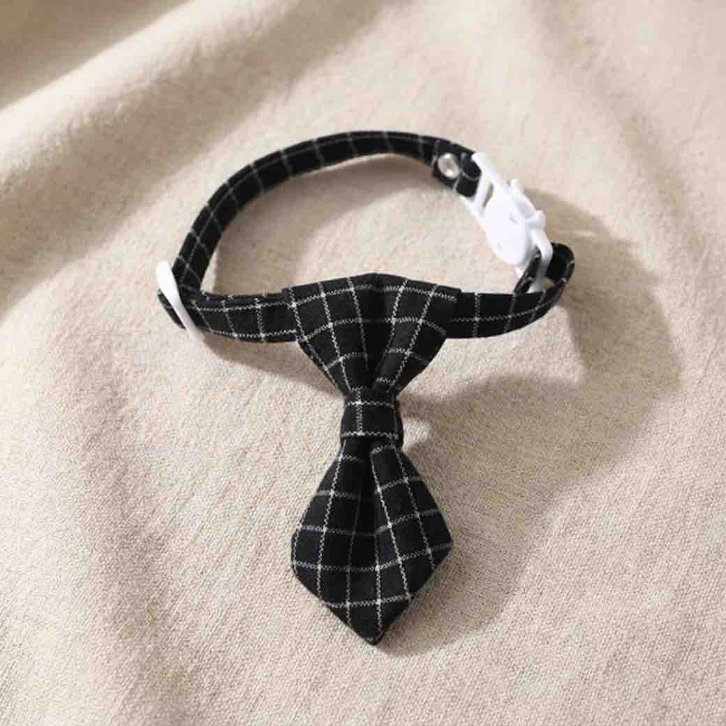 Cravate pour chat anti-étranglement