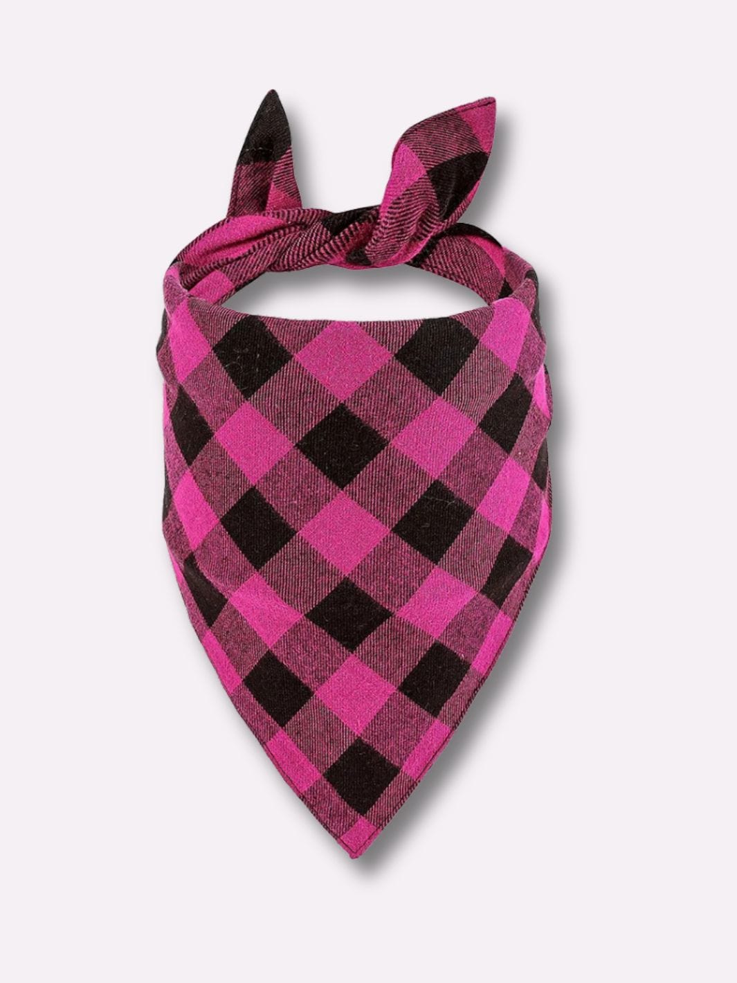 Foulard pour Chien - Muzo