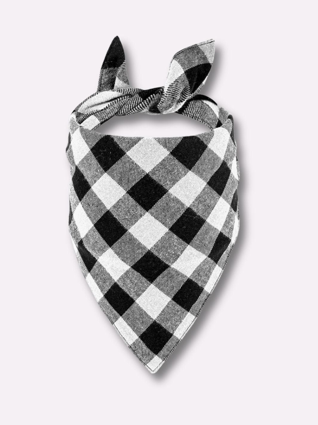 Foulard pour Chien - Muzo