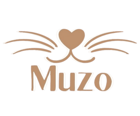 Sign Up And Get Special Offer At Muzo