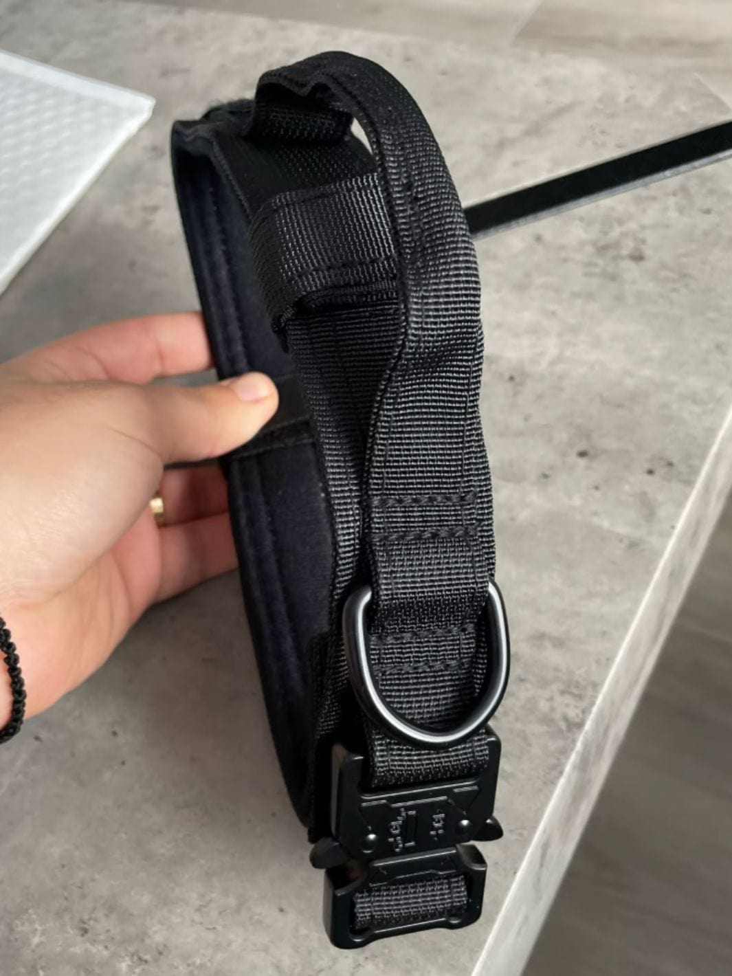 Collier pour chien noir en double nylon