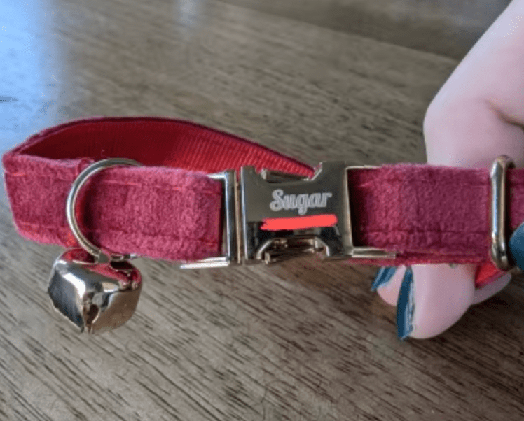 Un collier avec une clochette pour chat bordeaux en velours avec le nom et le numéro de téléphone gravé