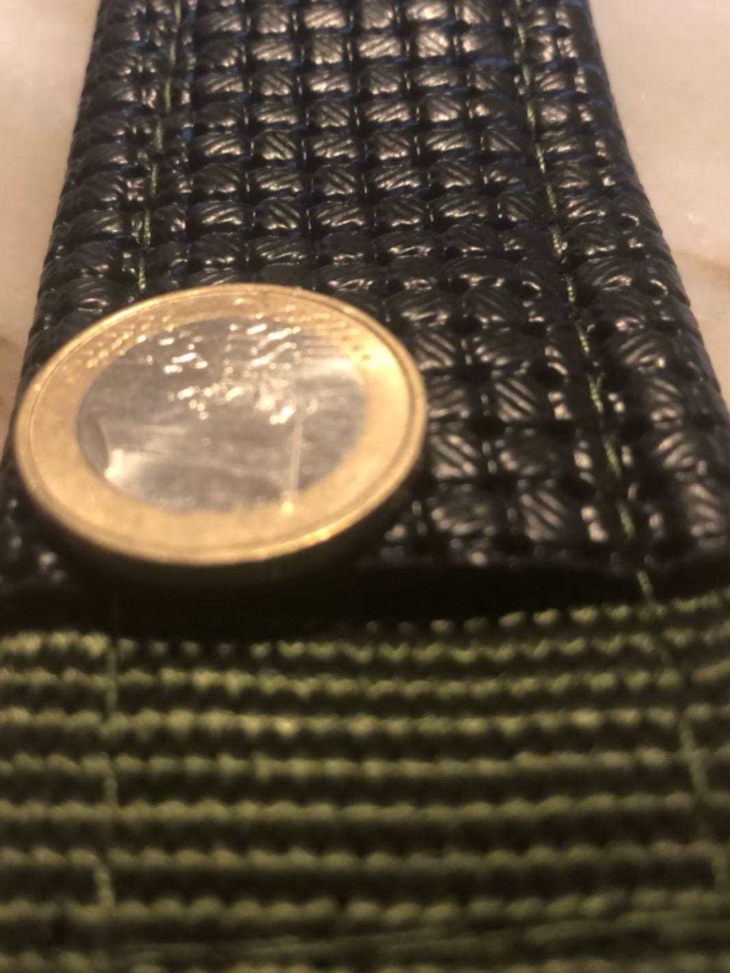 Collier pour chien en nylon avec une pièce de 1 euro posé dessus